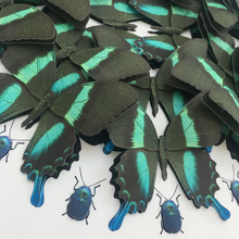 Load image into Gallery viewer, Blumei mini