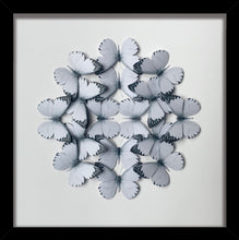 Load image into Gallery viewer, Appias mini