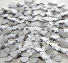 Load image into Gallery viewer, Appias