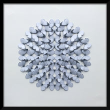 Load image into Gallery viewer, Appias