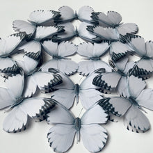 Load image into Gallery viewer, Appias mini