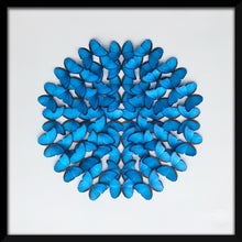 Load image into Gallery viewer, Morpho