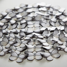 Load image into Gallery viewer, Prioneris